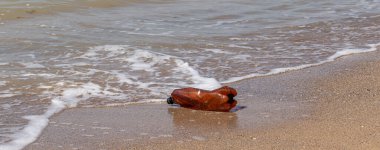 Büyük bir şehrin plajına çöp döktüm. Kullanılmış kirli plastik şişeler. Kirli deniz, Karadeniz 'in kumlu kıyıları. Çevre kirliliği. Ekolojik bir sorun. Deniz kenarındaki plastik çöpler.