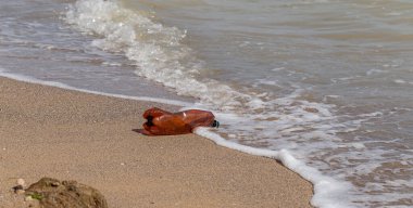 Büyük bir şehrin plajına çöp döktüm. Kullanılmış kirli plastik şişeler. Kirli deniz, Karadeniz 'in kumlu kıyıları. Çevre kirliliği. Ekolojik bir sorun. Deniz kenarındaki plastik çöpler.
