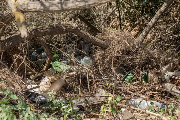 Poured Garbage Beach Big City Empty Used Dirty Plastic Bottles — Stock Photo, Image