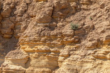 Karadeniz kıyısındaki heyelan bölgesi. Deniz taşı kabuğu. Yağmur mevsiminde doğal afetler bölgesi. Büyük toprak kütleleri tepenin yamacında kayıp evleri yok ediyor. Heyelan - yaşam tehdidi