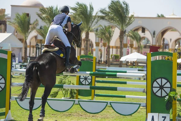 Paard en ruiter springen in Paardensport competitie — Stockfoto