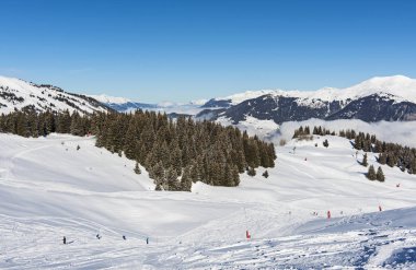 Panoramik bir Alp dağ vadide