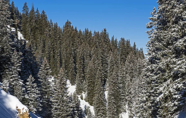 Blick in ein alpines Gebirgstal — Stockfoto
