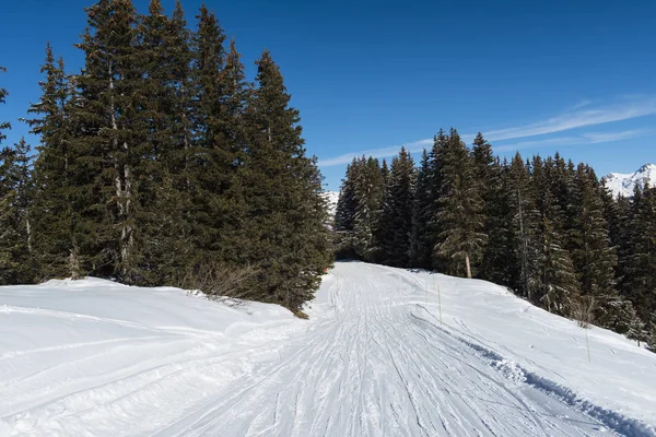 跟踪中高山滑雪场的滑雪道滑雪 — 图库照片