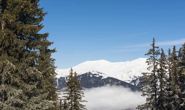 Panoramablick auf eine alpine Bergkette — Stockfoto