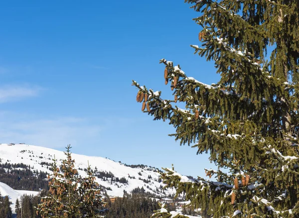 Panoramablick auf eine alpine Bergkette — Stockfoto