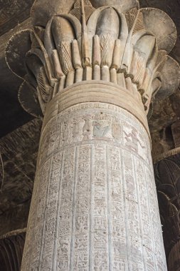 Mısır antik bir tapınak sütunlar