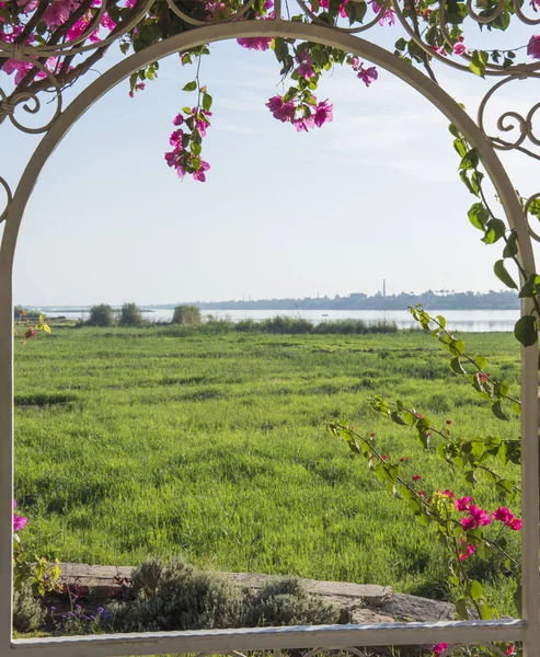 Campo rural vista de un río en verano a través de enrejado — Foto de Stock