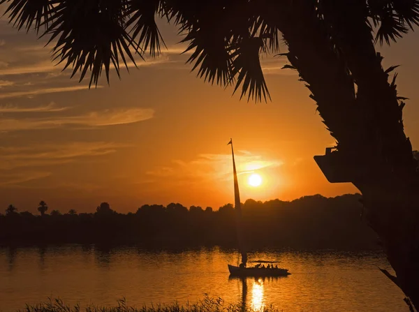 Traditionele felluca zeilboot silhouet bij zonsondergang — Stockfoto