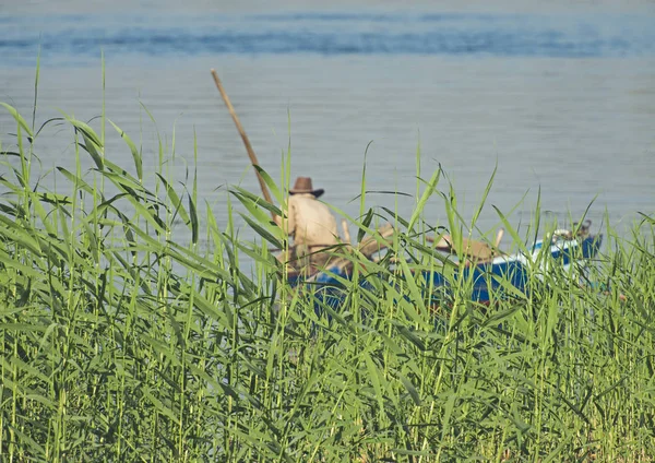 Традиционный египетский бедуинский рыбак на реке у тростника — стоковое фото