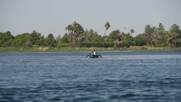 Traditionnel pêcheur égyptien bedouin sur la rivière par roseaux — Video