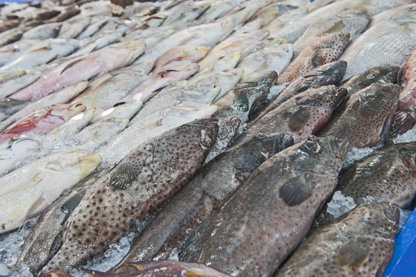 Fischsammlung auf traditionellem Markt unter freiem Himmel — Stockfoto