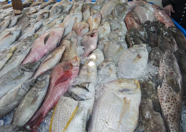 Fischsammlung auf traditionellem Markt unter freiem Himmel — Stockfoto