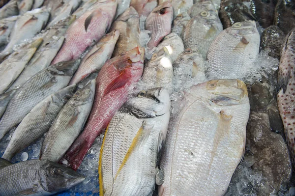 Fischsammlung auf traditionellem Markt unter freiem Himmel — Stockfoto