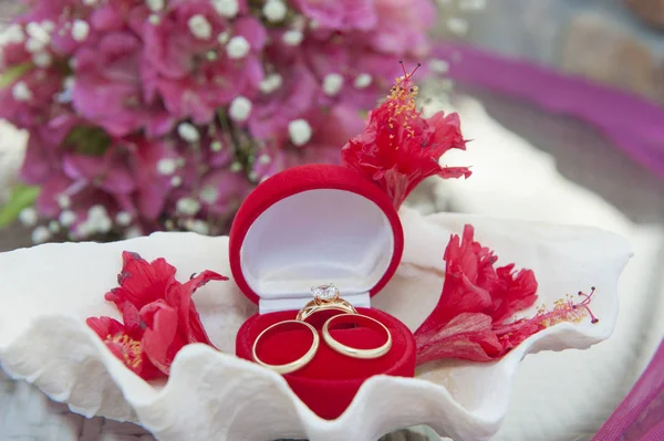 Obrączki ślubne w przypadku biżuterii — Zdjęcie stockowe