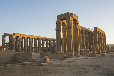 Tapınaktaki sütunlara eski Mısır hiyeroglif oymaları