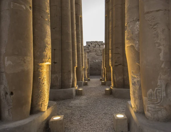 Tallados jeroglíficos egipcios antiguos en columnas en el templo — Foto de Stock
