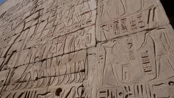 Hieroglypic Carvings Columns Ancient Egyptian Temple Medinat Habu Luxor — Stock Video