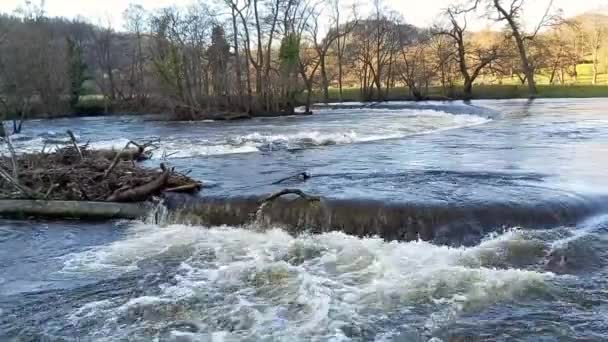 英国农村景观中快速流过小瀑布的水流 — 图库视频影像