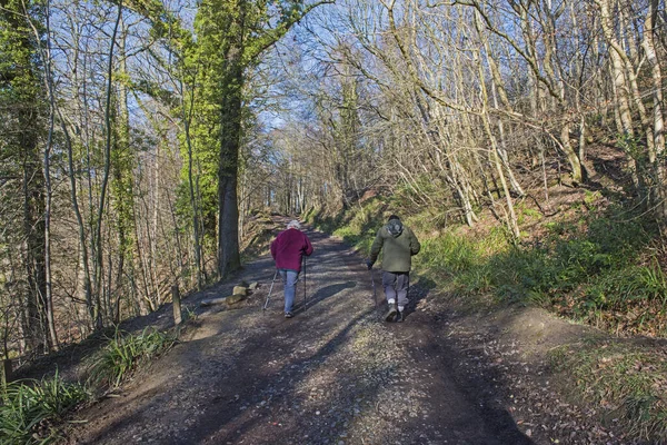 Twee Oudere Mensen Wandelen Wandelaars Afgelegen Land Rijstrook Weg Een — Stockfoto