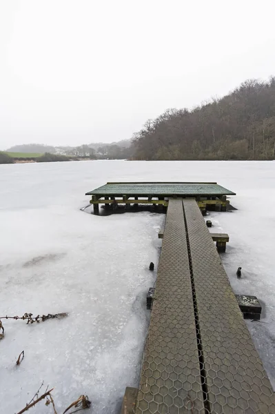 Malé Molo Ponton Vyčnívá Zamrzlé Zasněžené Jezero Obklopené Lesy — Stock fotografie