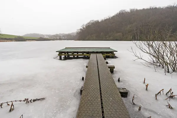 Malé Molo Ponton Vyčnívá Zamrzlé Zasněžené Jezero Obklopené Lesy — Stock fotografie