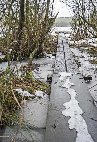 Liten Brygga Ponton Sticker Frusen Snötäckt Sjö Omgiven Skog — Stockfoto