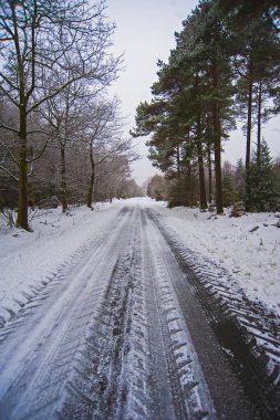 Karla kaplı uzak kır yolu kırsal ağaçların arasından geçerek uzaklığa gidiyor.