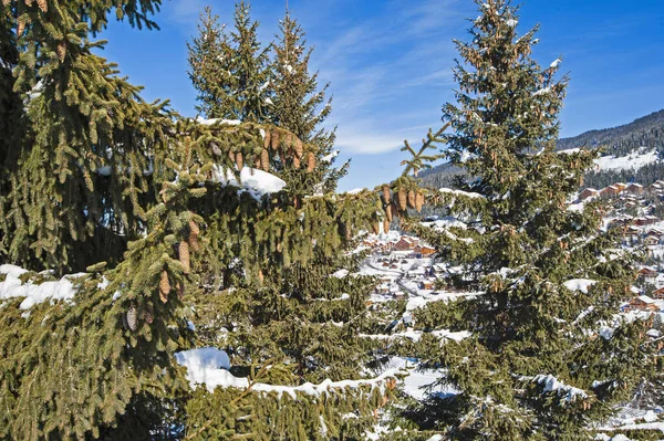 Blick Hinunter Ins Tief Verschneite Tal Gebirge Mit Nadelbäumen Auf — Stockfoto