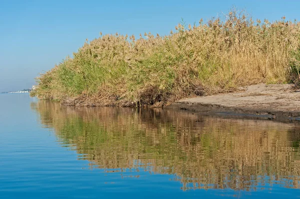 熱帯環境における大規模な川のパノラマ風景農村田園風景を反射 — ストック写真
