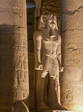 Eski Mısır Luxor Tapınağındaki hiyeroglif oymalar ve II. Ramses heykeli ile dolu duvar.