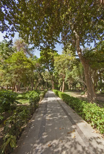 Footpath Deserted Large Park Botanical Gardens Kitcheners Island Aswan Egypt — Stock Photo, Image