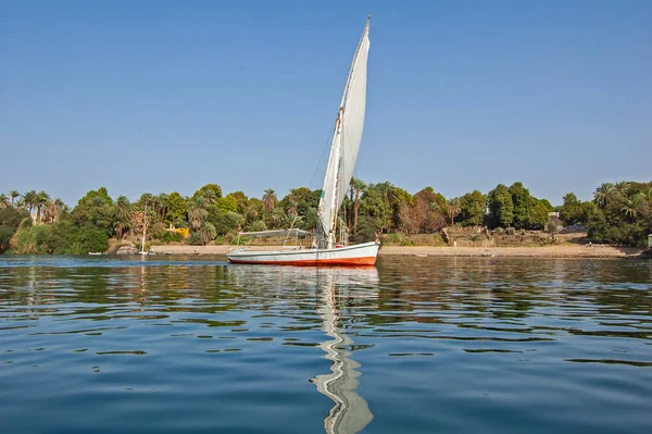Barco Tradicional Egípcio Felluca Rio Navegando Nilo Com Reflexão Água — Fotografia de Stock