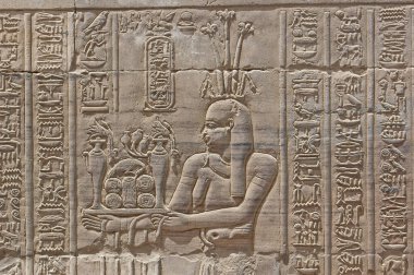 Aswan 'daki eski Mısır tapınağı Kom Ombo' nun duvarlarına hiyeroglif oymalar