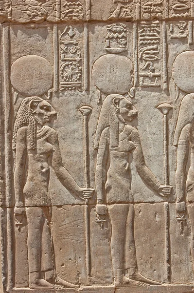 Hieroglypisch Houtsnijwerk Muur Bij Oude Egyptische Tempel Kom Ombo Aswan Rechtenvrije Stockafbeeldingen