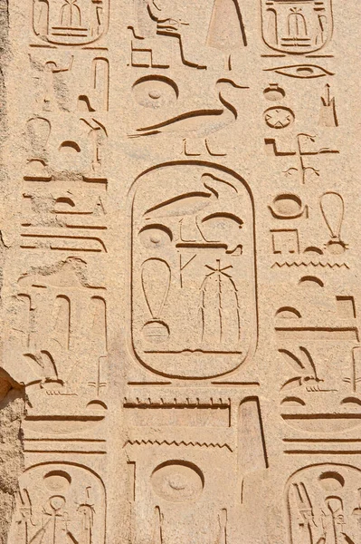 Luxor Daki Antik Mısır Tapınağı Karnak Duvarlarına Hiyeroglif Oymalar — Stok fotoğraf