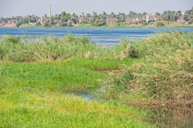 Panoramik manzara kırsal arazi çimen tarlası sulak alanlar ve küçük nehir manzarası
