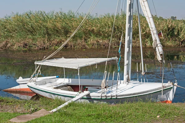 Traditionele Egyptische Felluca Rivier Zeilboot Afgemeerd Door Rivier Oever — Stockfoto