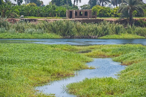 草原湿地や小さな川のパノラマ風景農村田園風景 — ストック写真