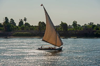 Geleneksel Mısırlı felluca nehir teknesi arka planda Luxor batı yakası ile Nil 'de yol alıyor.