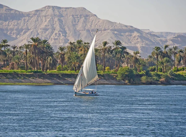 Barco Tradicional Egípcio Felluca Rio Navegando Nilo Com Luxor Margem — Fotografia de Stock