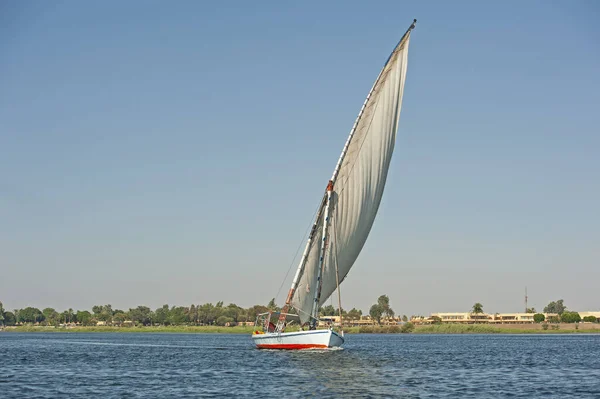 Traditional Egyptian Felluca River Boat Sailing Nile — Stock Photo, Image