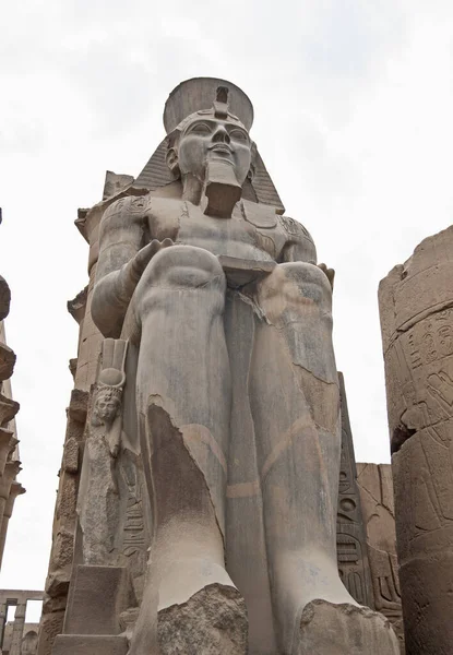 位于古埃及卢克索神庙的拉美西斯二世的大型雕像和象形文字雕刻 背景为白色 — 图库照片