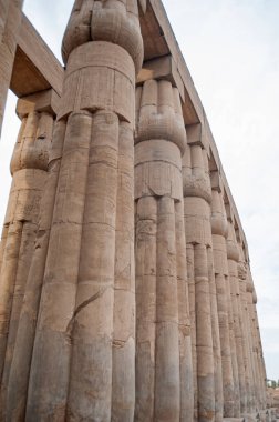 Eski Mısır Luxor tapınağındaki sütunlara hiyeroglif oymalar