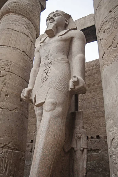 Large Statue Hieroglypic Carvings Ramses Ancient Egyptian Luxor Temple Columns — Stock Photo, Image