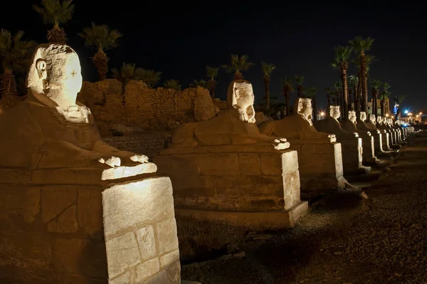 Oude Egyptische Laan Van Stenen Sfinxen Verlicht Nacht Tempel Van — Stockfoto