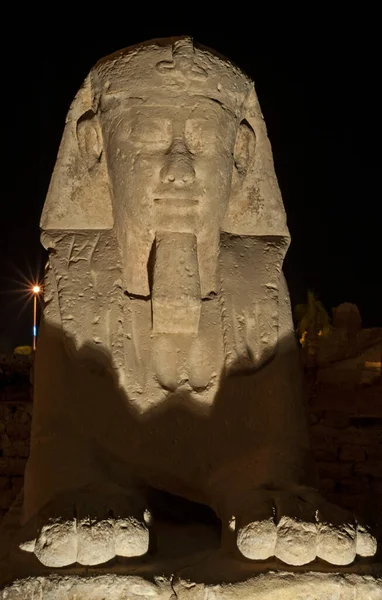 Esfinge Piedra Egipcia Antigua Iluminada Noche Templo Luxor — Foto de Stock