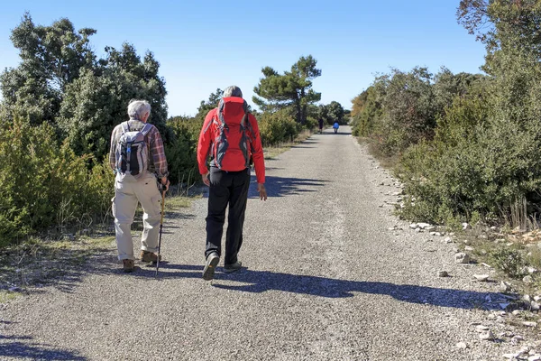 Two hikers on the road — Stock Photo, Image