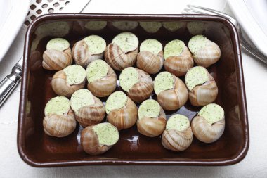 salyangoz bir tabak içinde