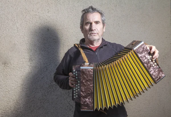 Musician playing accordion — Stock Photo, Image